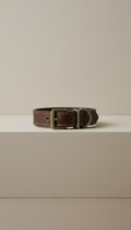 Leather Dog Collar With Brass Buckle