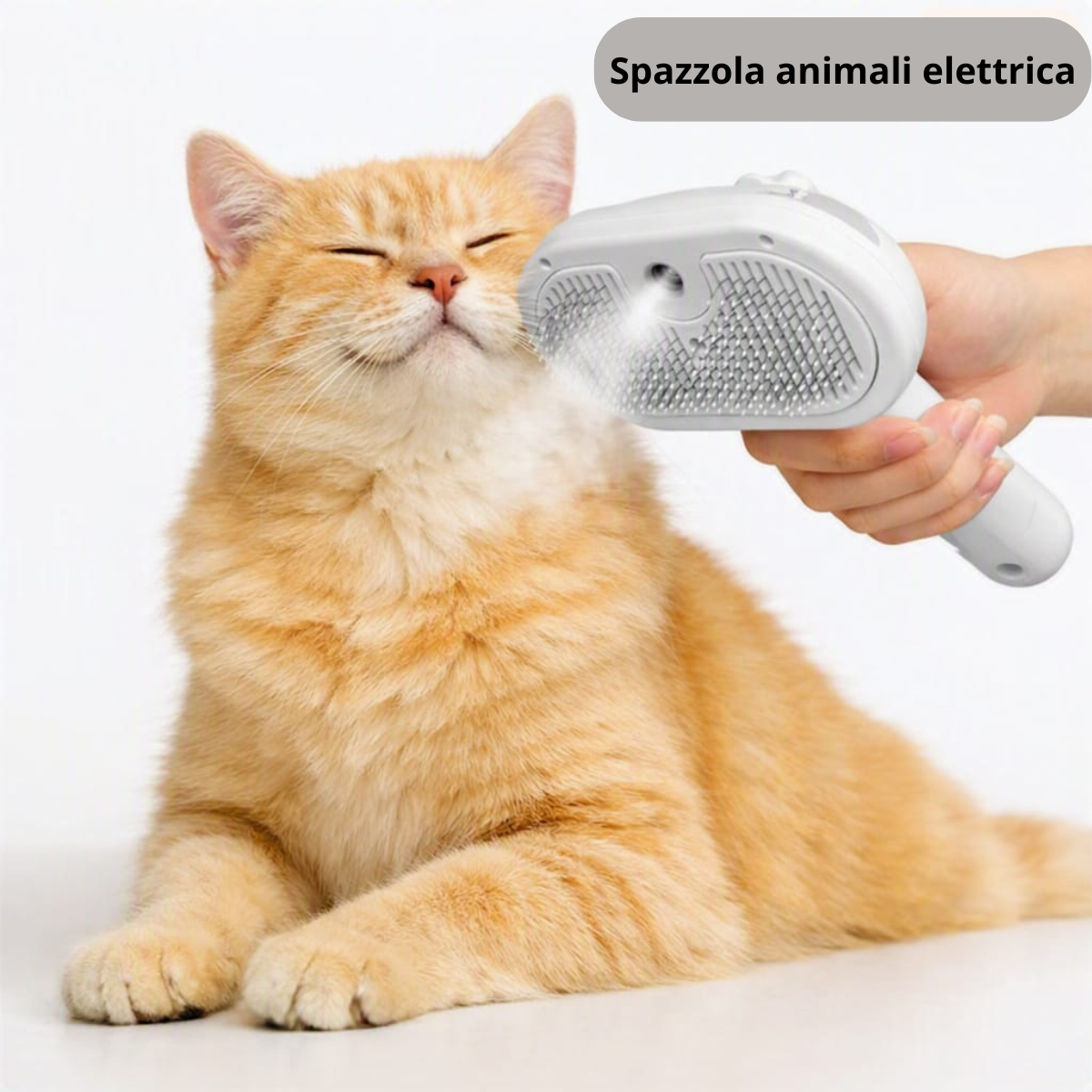 Zampine_Spazzola animali elettrica